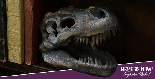 Crâne de T Rex 16 cm | De retour en stock