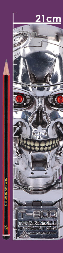 Terminator 2 Head Box 21cm