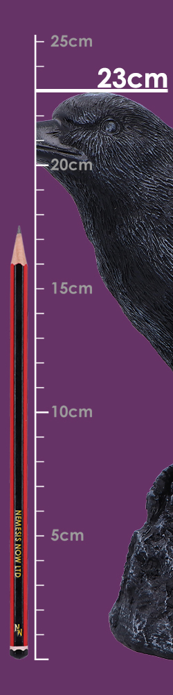Raven Messenger 25cm