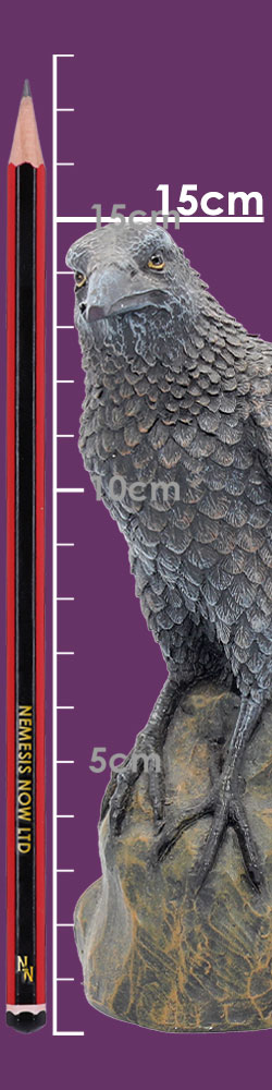 Ravens Rest 16cm