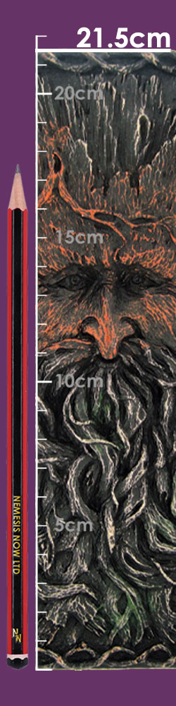 Tree Beard Note Book 19cm