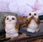 Three Wise Brown Owls 7.5cm Owls Out Of Stock