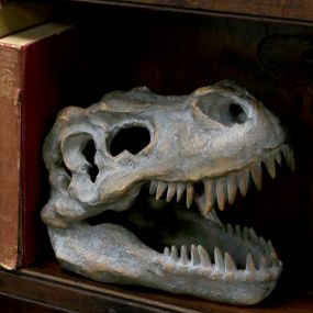 Tyrannosaurus Rex Skull Freestanding 16cm