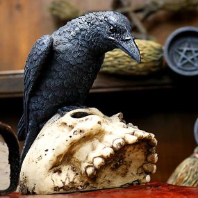 Ravens Remains 13cm