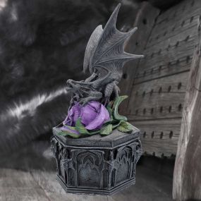 Dragon Beauty Box (AS) 25cm