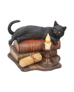 The Witching Hour (LP) 20.5cm Cats De retour en stock