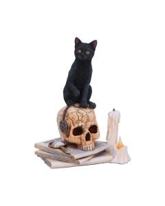 Spirits of Salem (LP) 16.5cm Cats Gift Ideas