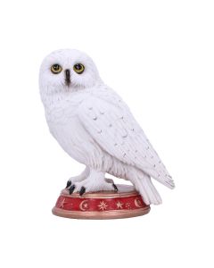 Wizard's Familiar 10cm Owls Produits Populaires - Curiosités Divines