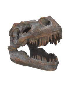 Tyrannosaurus Rex Skull Freestanding 16cm Dinosaurs De retour en stock