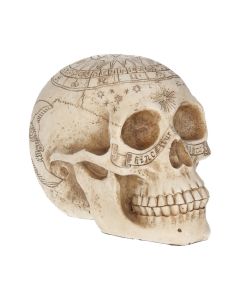 Astrological Skull 20cm Skulls Statues Medium (15cm to 30cm)