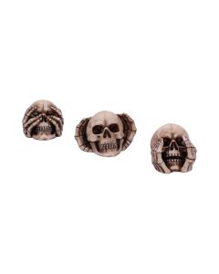 Three Wise Skulls 7.6cm Skulls Crânes (Premium)