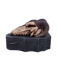 Dragon Skull Box (Monte Moore) 17.7cm Dragons Boîtes de dragon premium