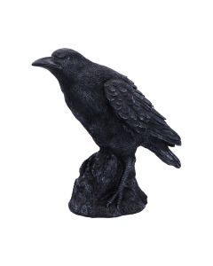Raven Messenger 25cm Ravens Stock Arrivals