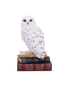 Library of Wisdom 17cm Owls Pré-commander