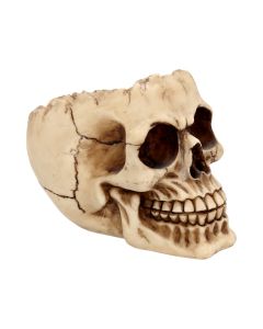 Lobo 14.5cm Skulls Skullectibles