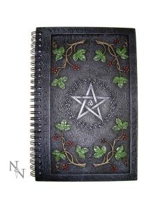 Wiccan Book of Shadows (24cm) Witchcraft & Wiccan Gifts Under £100