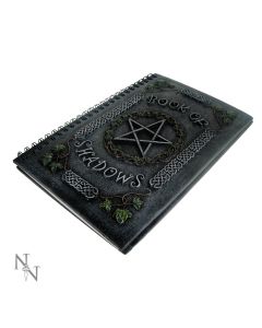 Ivy Book Of Shadows (22cm) Witchcraft & Wiccan Toutes les designs Nemesis Now