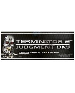 Terminator 2 Shelf Talker Display Items & POS Terminator 2