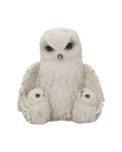 Feathered Family 21.5cm Owls Roll Back Offer