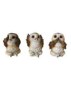 Three Wise Brown Owls 7.5cm Owls Chouettes