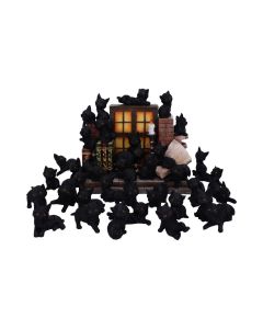 The Witches Litter 24.8cm (Display of 36) Cats Roll Back Offer