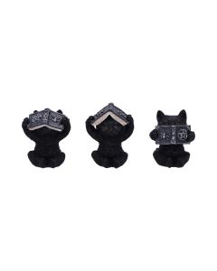 Three Wise Spell Cats 8.5cm Cats Stock Arrivals