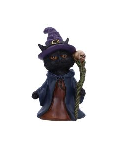 Whiskered Wizard 14cm Cats Gifts Under £100