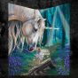 Fairy Whispers Throw (LP) 160cm Unicorns Last Chance to Buy