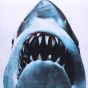 Jaws Cushion 40cm Animals Gifts Under £100