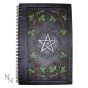 Wiccan Book of Shadows (24cm) Witchcraft & Wiccan Toutes les designs Nemesis Now