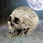 Celtic Skull Box 20cm Skulls Last Chance to Buy