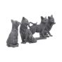 Lucky Black Cats 9cm (Display of 24) Cats Stock Arrivals