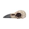 Edgar's Raven Skull 21cm Animal Skulls RRP Under 50