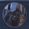 A Brush With Magick Embossed Purse (LP) 18.5cm Cats De retour en stock