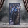 A Brush With Magick Embossed Purse (LP) 18.5cm Cats De retour en stock