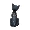 Mystic Kitty 26cm Cats Top 200 None Licensed