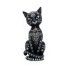 Mystic Kitty 26cm Cats Top 200 None Licensed