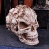 Skull of Skulls (JR) 18cm Skulls Gifts Under £100
