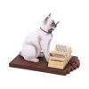 Hocus Pocus (LP) 16.8cm Cats Gifts Under £100