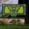 Absinthe - La Fee Verte Embossed Purse 18.5cm Indéterminé Gifts Under £100