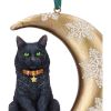 Moon Cat Hanging Ornament (LP) 9cm Cats Christmas Product Guide