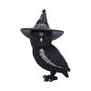 Owlocen 30cm (Large) Owls Gifts Under £100
