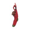 Magical Arrival Hanging Ornament (AS) 13.5cm Dragons Christmas Product Guide