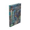 Rusty Cauldron Journal (LP) 17cm Cats Journals