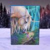 Fairy Whispers Journal (LP) 17cm Unicorns Gifts Under £100