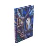 Fairy Tales Journal (LP) 17cm Fairies Gifts Under £100