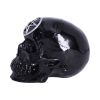 Black Magic 19.5cm Skulls Flash Sale Skulls & Gothic