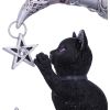 Luna Companion 18.8cm Cats Gifts Under £100