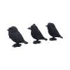 Three Wise Ravens 8.7cm Ravens Stock Arrivals