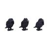 Three Wise Ravens 8.7cm Ravens De retour en stock